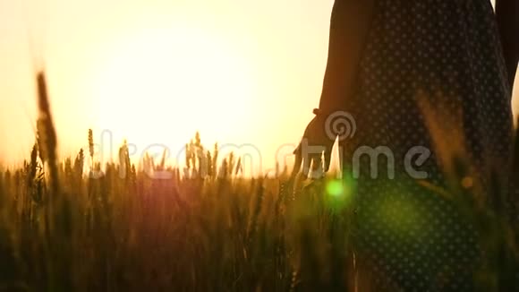 日落时一个穿裙子的女孩在麦田里女孩手摸着金色的麦穗一个女人的剪影视频的预览图