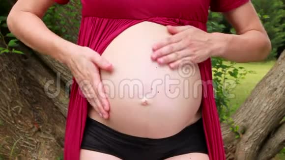 心脏形状的怀孕未来妈妈和父母的手拥抱拥抱和抚摸肚子她正在肚子上做心脏符号视频的预览图