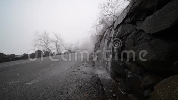 雾天晨雾在路旁无叶的树枝视频的预览图