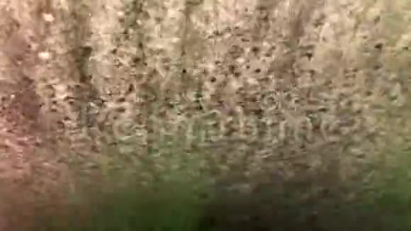 汽车通过自动洗车从里面的挡风玻璃视图视频的预览图