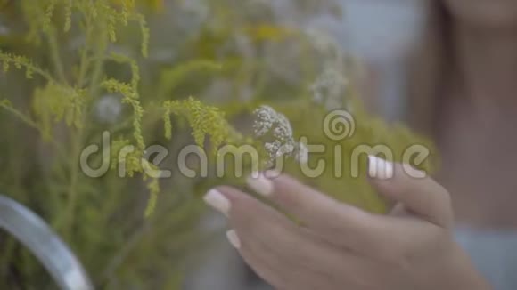 特写嫩嫩的雌手抚摸野花农村生活方式与自然的联系慢动作视频的预览图