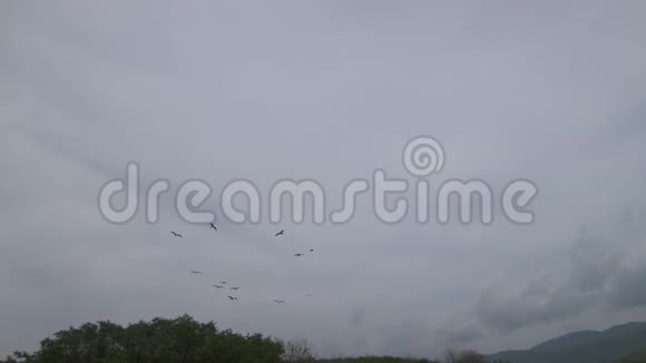 哥伦比亚梅塔天空风筝剪影视频的预览图