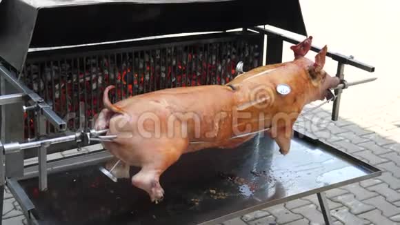 吸吮猪BBQ视频的预览图