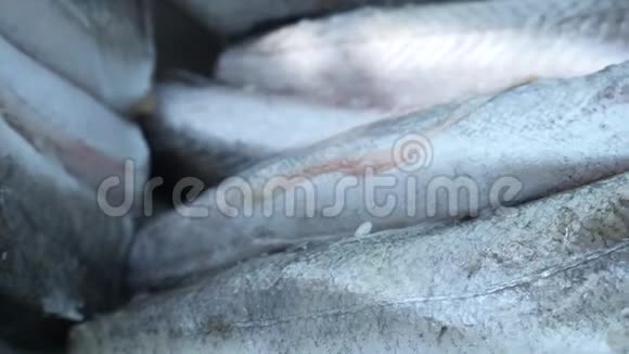 新鲜冷冻灰鱼解冻于白色铁板视频的预览图