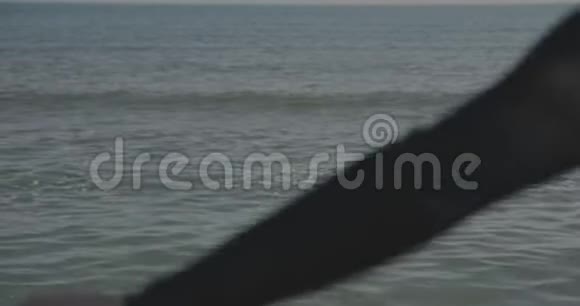 弗里迪弗夫妇奔向大海在电影院摄像机上拍摄12位酷视频的预览图
