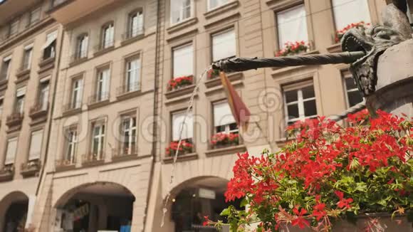 伯尔尼大街上的鲜花喷泉瑞士视频的预览图