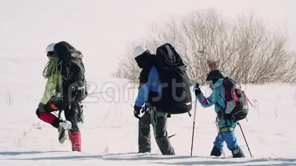 在一条线上有一群训练有素的登山者他们依靠滑雪杆努力不陷入困境视频的预览图