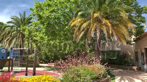 棕榈树周围的游乐场视频的预览图