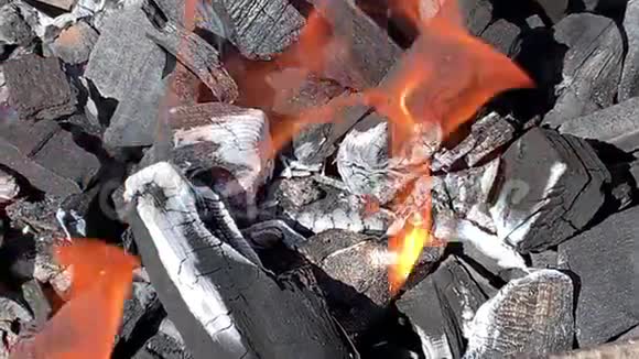 火烧烤架上的炭火视频的预览图