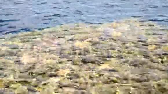 清澈的海水纹理与珊瑚美丽清澈的海水视频的预览图