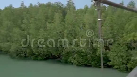 泰国汉丰国家公园泰国汉丰有树木和红树林的公园木制甲板视频的预览图