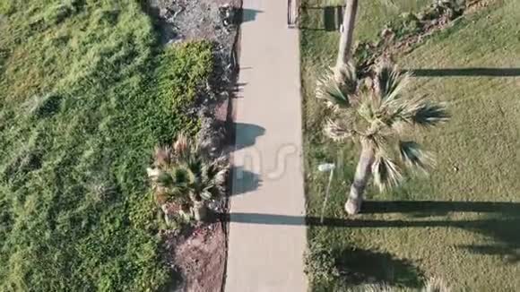 棕榈树和绿草的人行步道的顶部鸟瞰图无人机飞过酒店附近的步行道奥地利视频的预览图