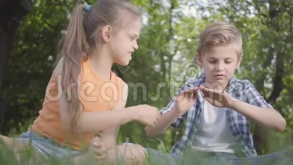 两个有趣的孩子坐在公园的草地上玩耍那个男孩在玩虫子女孩想拿走它一对夫妇视频的预览图