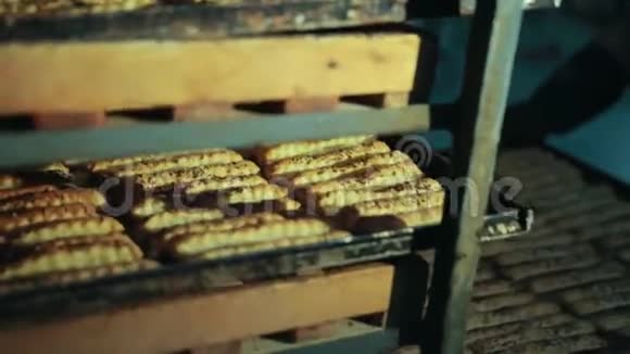 脆珠成排调味撒上孜然卡拉维在烤箱托盘上视频的预览图
