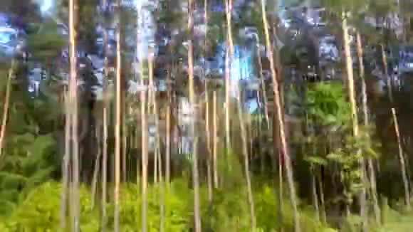 一个风景和自然的汽车飞行视频的预览图