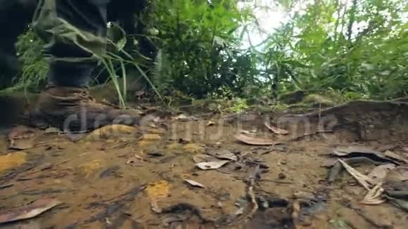 男子双腿穿着徒步旅行鞋在热带雨林的肮脏小路上行走而夏季徒步旅行热带森林游客徒步旅行视频的预览图