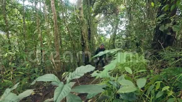 旅行的人带着背包在丛林森林里散步游客在热带树木和热带雨林中徒步旅行视频的预览图