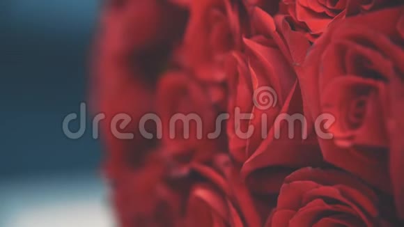 模糊的视频花束大嫩的红玫瑰视频的预览图