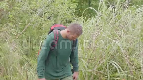 游客在绿色森林里旅行旅行男子背着背包攀登高山峰视野惊人视频的预览图