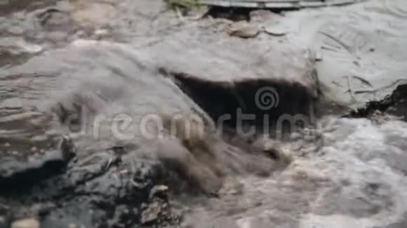 下水道的人孔旁边流着脏水下大雨视频的预览图