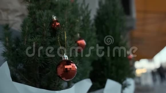 有红球的小圣诞树站在街上圣诞树销售视频的预览图