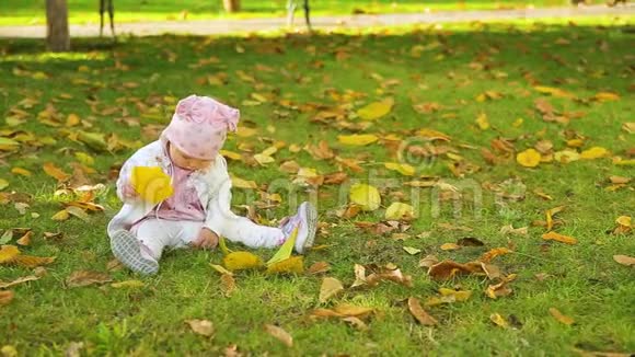 可爱的宝宝坐在公园的绿草上在秋天玩黄叶视频的预览图