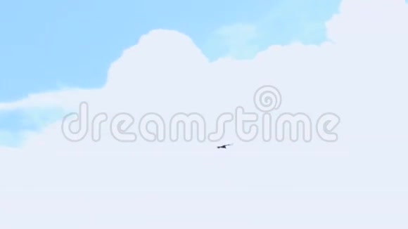 蓝天上的鹰视频的预览图