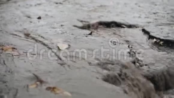 满是落叶的脏水流在城市破碎的沥青上季节视频的预览图