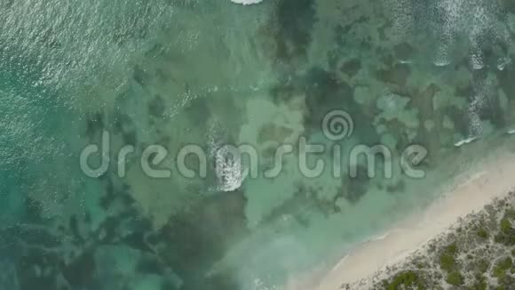 加勒比海大特克附近水下珊瑚礁的鸟瞰图视频的预览图