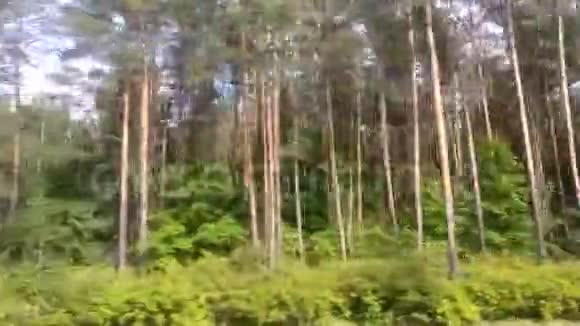 一个风景和自然的汽车飞行视频的预览图
