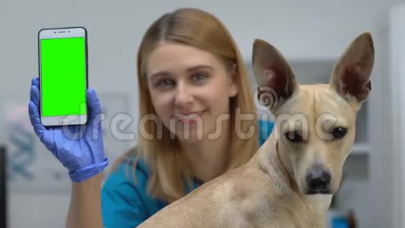 微笑女兽医与狗显示电话绿色屏幕在线咨询应用程序视频的预览图