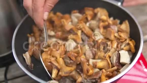 什锦蘑菇的特写用煎锅炒视频的预览图