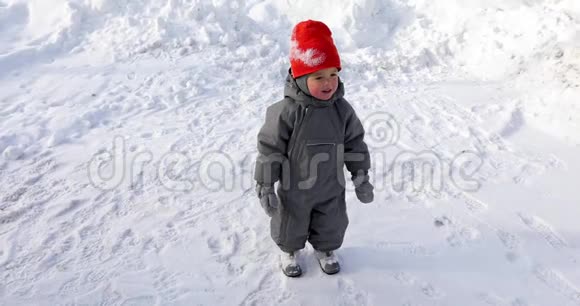 席德背景白色雪离笔视频的预览图