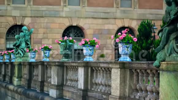 粉红色的玫瑰插在古老的历史建筑阳台上美丽的玫瑰粉红黄色建筑视频的预览图