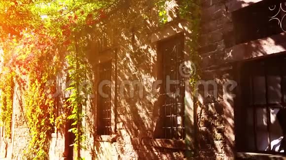 爱琴海岩房门面带常春藤植物克里珀房视频的预览图