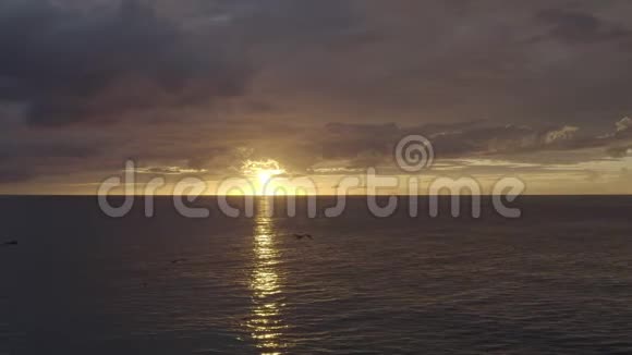在加勒比海的大特克上空飞入日落的鸟儿视频的预览图