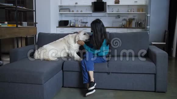 沙发上的狗舔着年轻的印度主人视频的预览图
