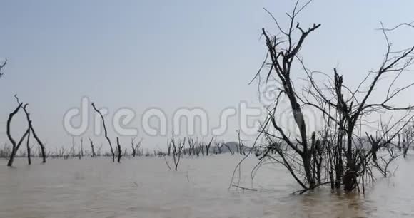 巴林戈湖景观显示水的上升与死亡的树木安辛加飞行肯尼亚实时视频的预览图