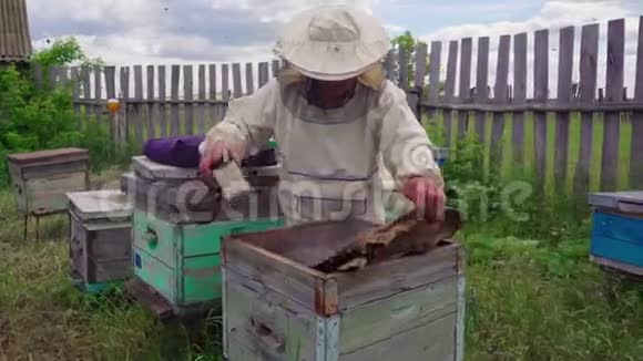 养蜂人在养蜂场和蜜蜂家庭一起工作乡村日记视频的预览图