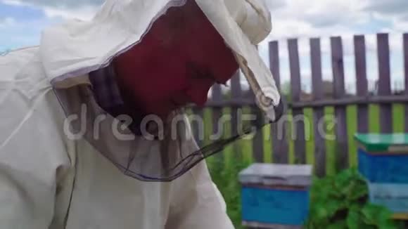 养蜂人拿出一个带有子宫的框架蜜蜂在日记里工作蜂后的结论视频的预览图