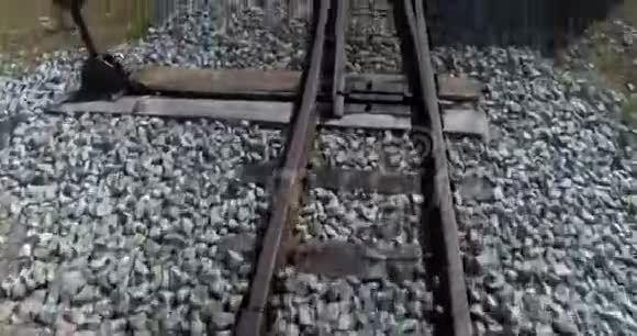 在旧火车轨道上运动的主观视觉视频的预览图