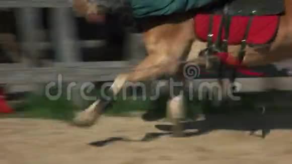 低矮的马在沙子上奔跑视频的预览图