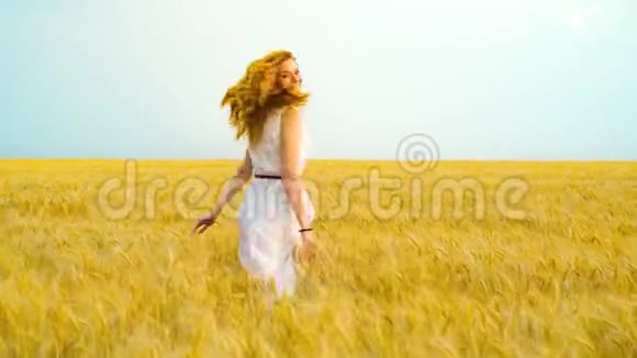 在阳光明媚的一天幸福的年轻女子在金色的麦田上奔跑视频的预览图
