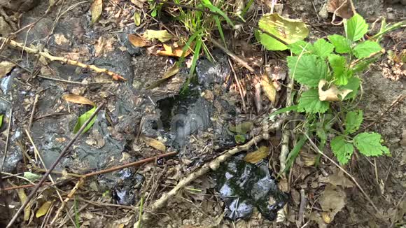 前倾倒有毒废物沥青焦油精制合成和细节影响自然绿色污染土壤和水视频的预览图