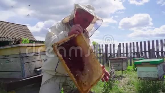 养蜂人在养蜂场和蜜蜂家庭一起工作乡村日记视频的预览图