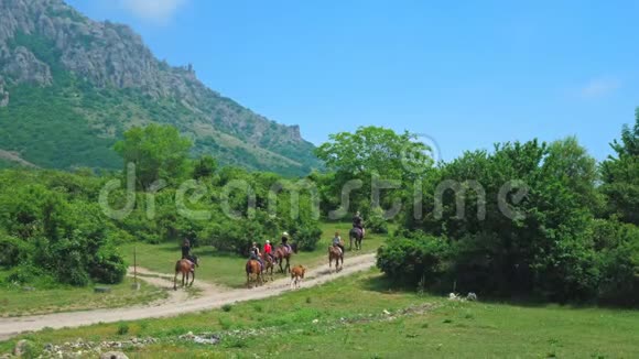 一群骑着马的游客在山上散步视频的预览图