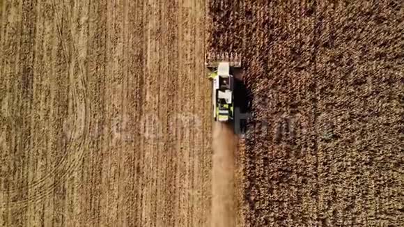 鸟瞰现代联合收割小麦的黄色麦田直接在视图上方农业现场视频的预览图