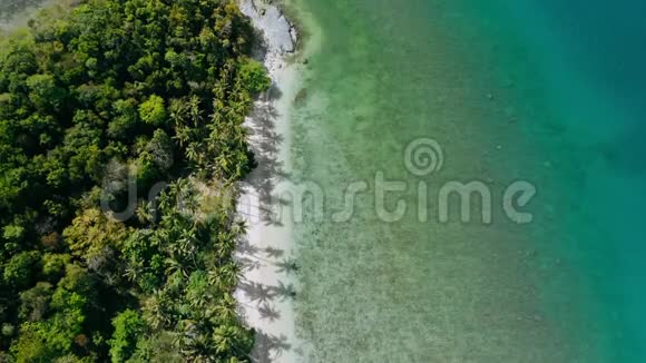 4k无人机空中盘旋在蓝色泻湖和天堂沙滩上空棕榈树在风中摇曳异国旅游视频的预览图