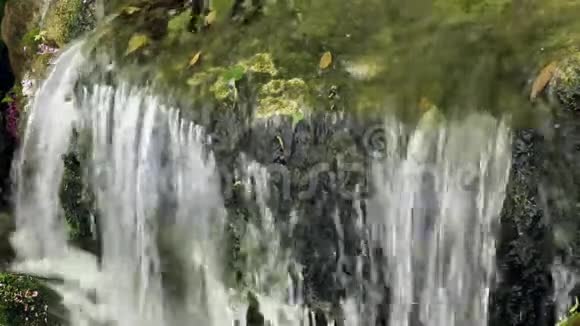 靠近岩石上的天然水视频的预览图