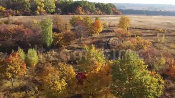 秋天田野和森林的无人视野被夕阳的光芒照亮秋林中多彩树叶土路视频的预览图